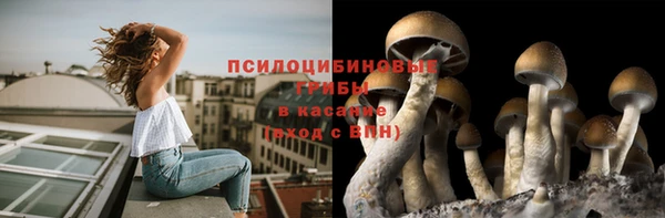 jwh Алзамай