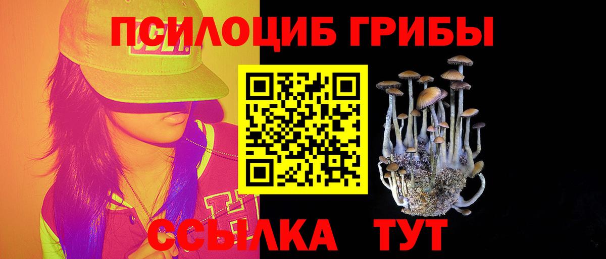 Псилоцибиновые грибы мухоморы  Галлюциногенные грибы Psilocybine cubensis  Белгород  Вход с VPN 