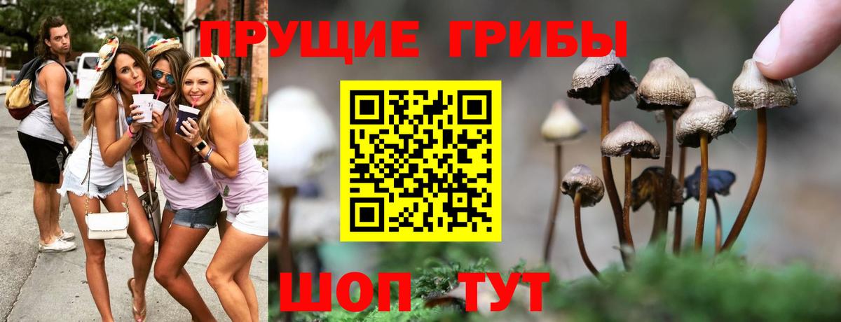 Псилоцибиновые грибы MAGIC MUSHROOMS Белгород